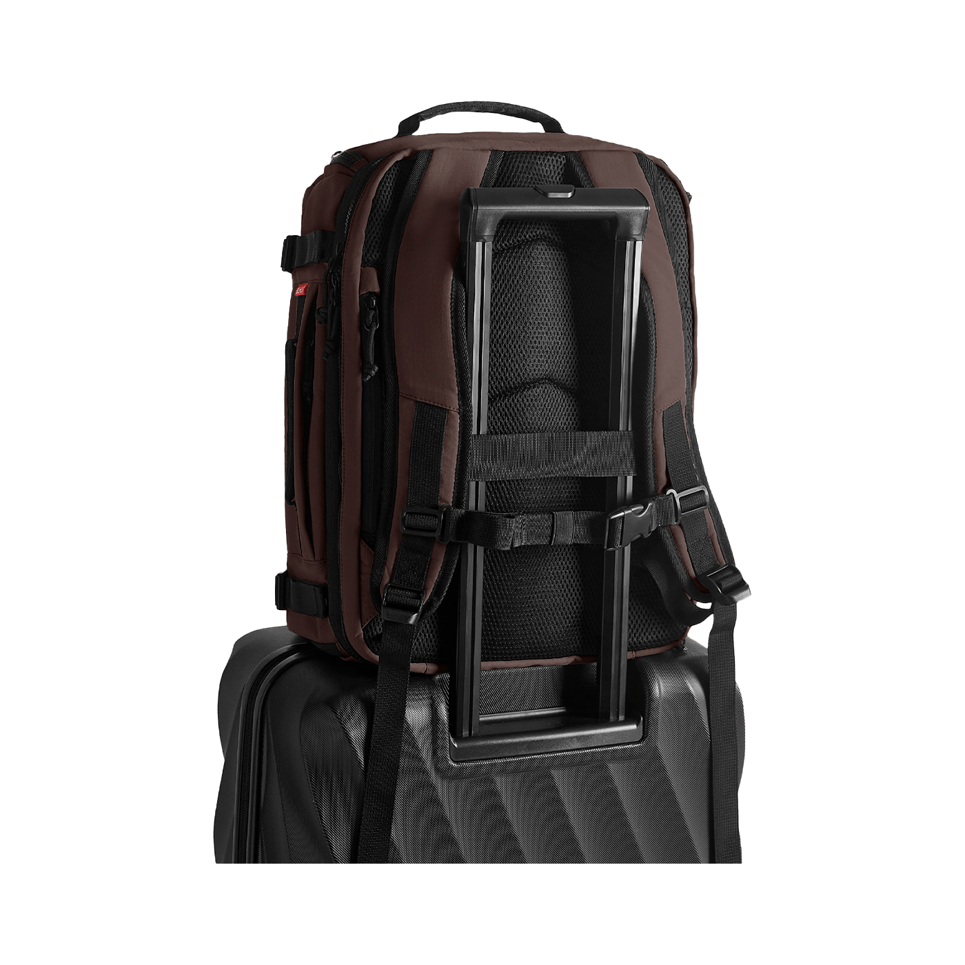 Sac à dos Underseat extensible Mesh BLAST - Cedar - Vue de dos